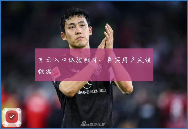 开云入口体验测评，真实用户反馈数据