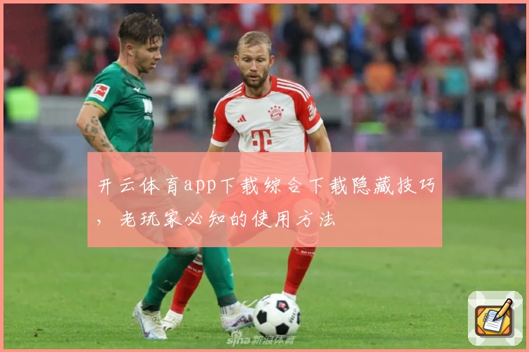开云体育app下载综合下载隐藏技巧，老玩家必知的使用方法